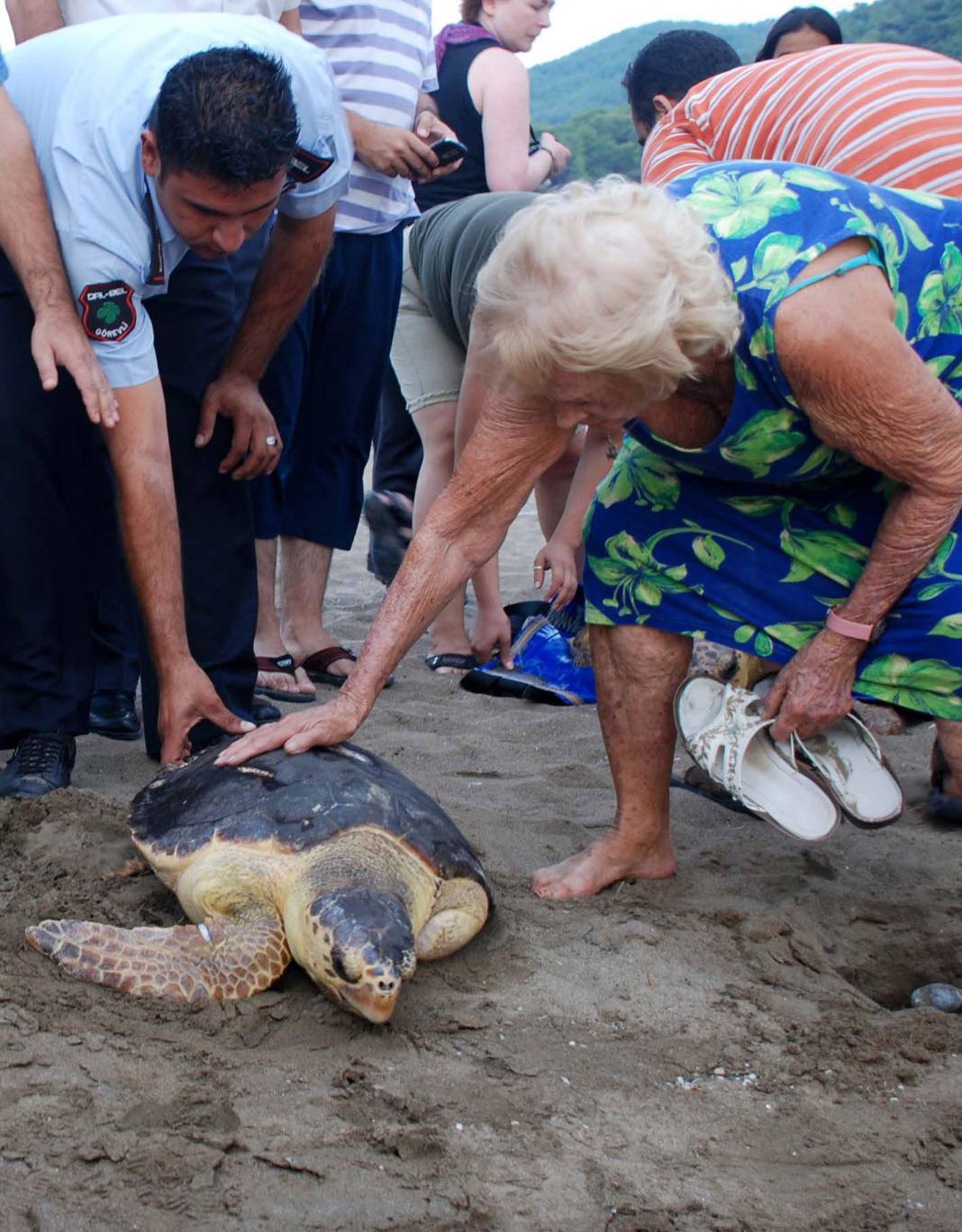 'Caretta Carettaların annesi' Haimoff yaşamını yitirdi 2